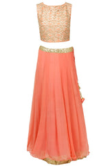 Coral Gota Work Lehenga Set