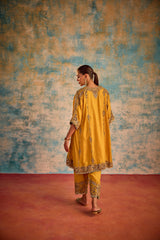 Yellow embroidered suit