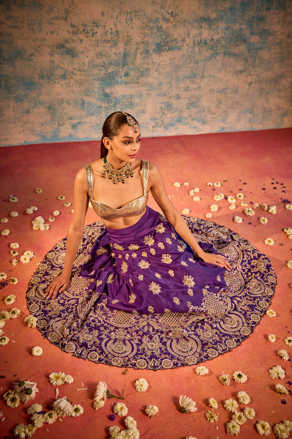 Golden purple Embellished Lehenga with Blouse