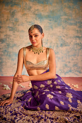 Golden purple Embellished Lehenga with Blouse