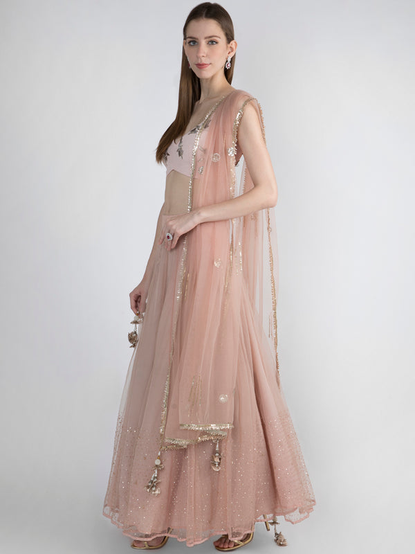 Pink Lehenga Choli